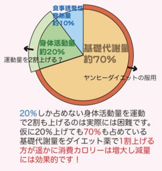もっとも確実なダイエット方法